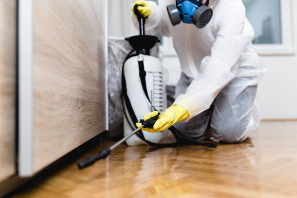 Best Pest Inspection Near Me  in Jonesville, LA