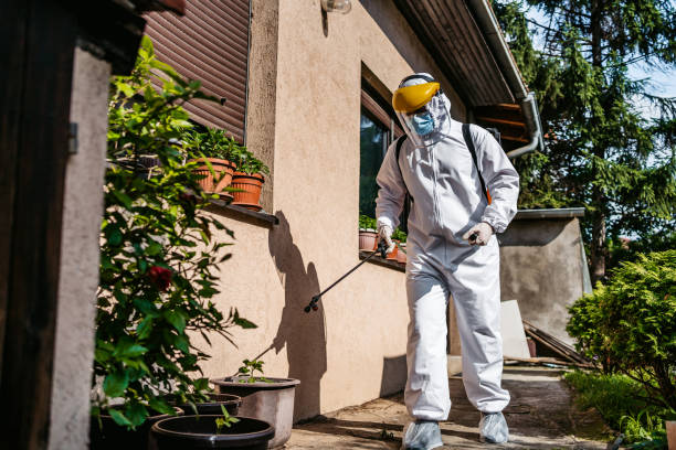 Pest Prevention Services in Jonesville, LA