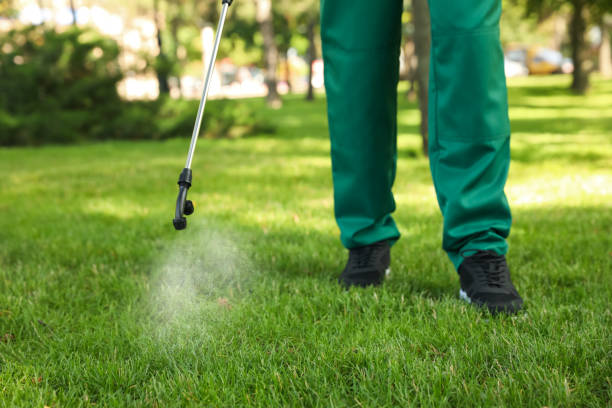 Insect Control in Jonesville, LA