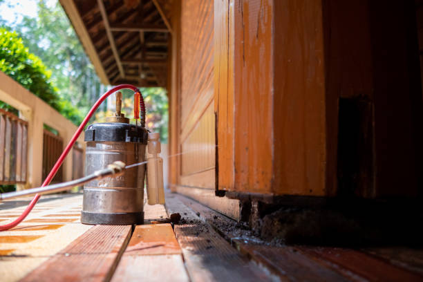 Best Insect Control  in Jonesville, LA