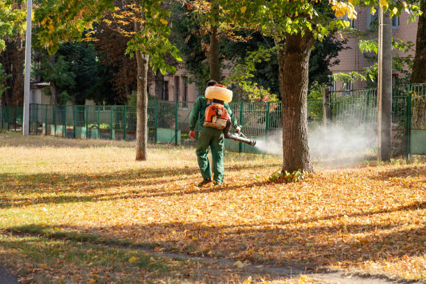 Best Exterminator Services  in Jonesville, LA